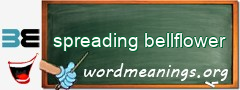 WordMeaning blackboard for spreading bellflower
